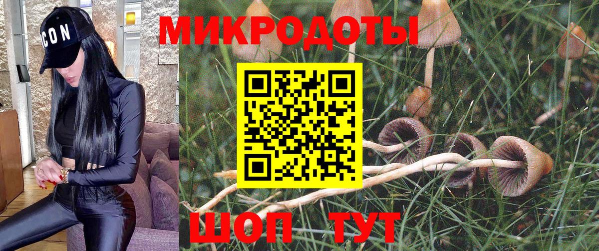 Галлюциногенные грибы мухоморы  продажа наркотиков  Вход с VPN  Карпинск  Псилоцибиновые грибы Psilocybe 